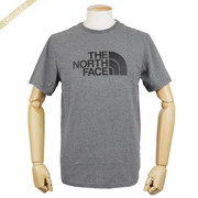THE NORTH FACE ノースフェイス メンズ Tシャツ ショートスリーブ GTDロゴ Sサイズ グレー NF0A2TX3 JBV S
