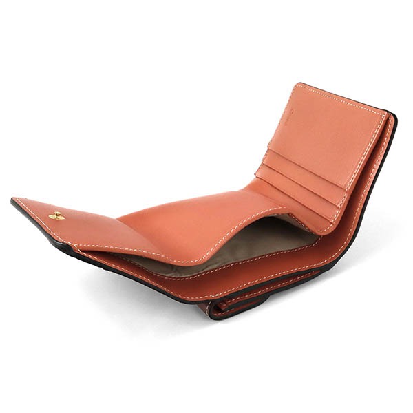 Brandol / Chloe クロエ 三つ折り財布 レザー マルチカラー ミニ財布