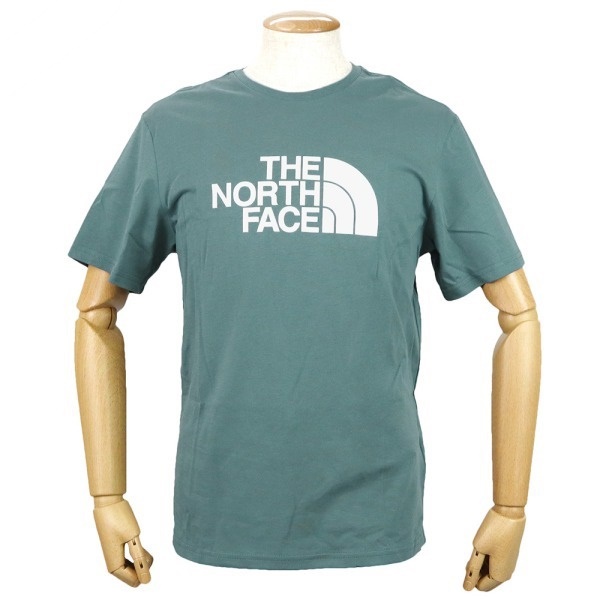 THE NORTH FACE ノースフェイス メンズ Tシャツ ショートスリーブ GTDロゴ Lサイズ グリーン系 NF0A2TX3 A9L L
