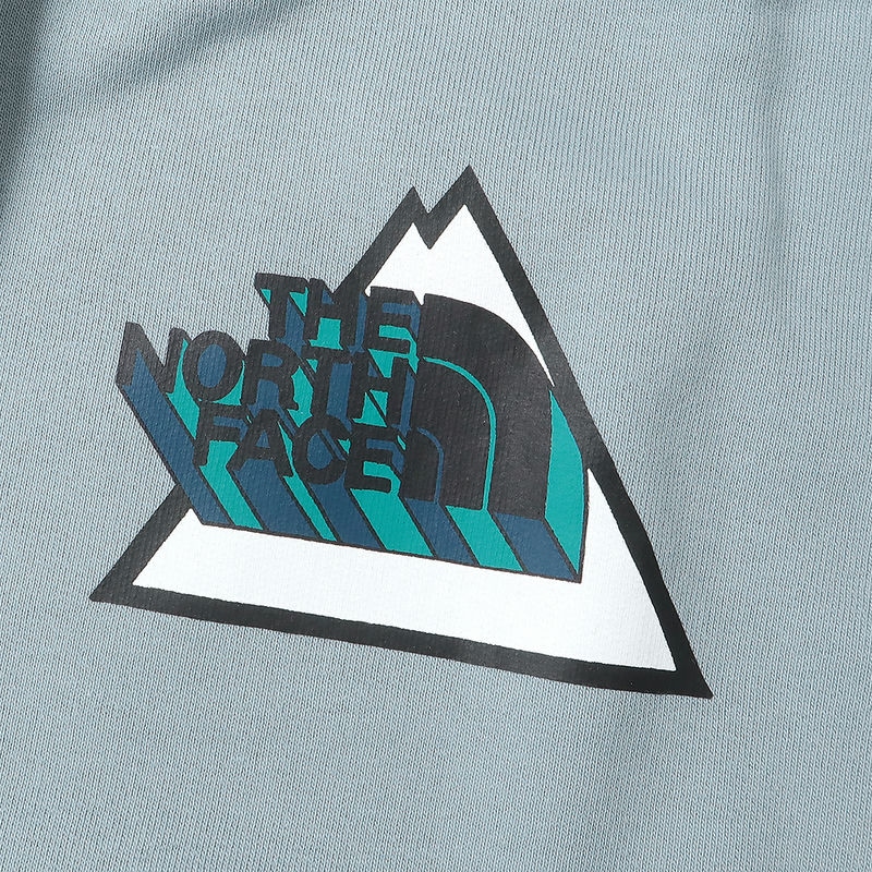 Brandol / THE NORTH FACE ノースフェイス メンズ パーカー 三角ロゴ