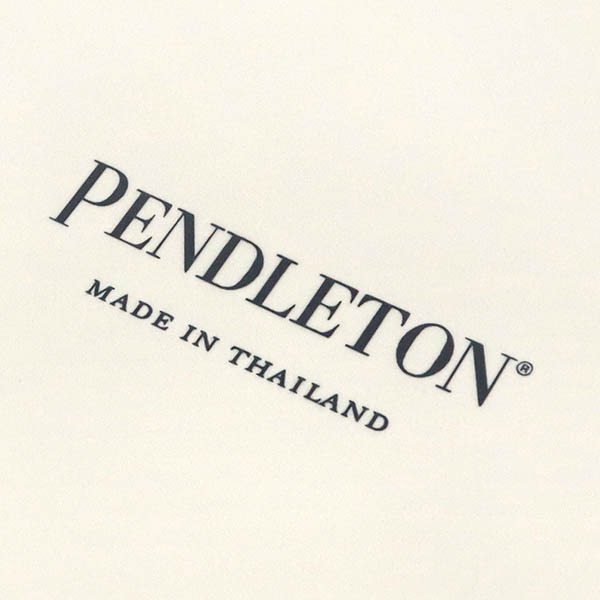 Brandol / Pendleton ペンドルトン プレート 4枚セット Harding
