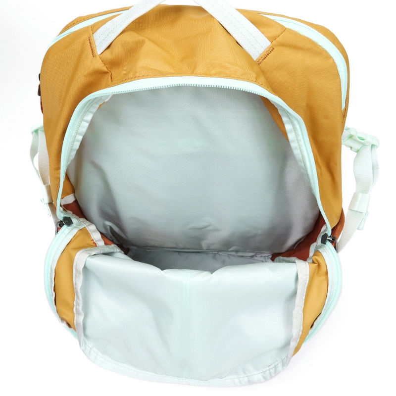 Brandol / Patagonia パタゴニア リュックサック Refugio