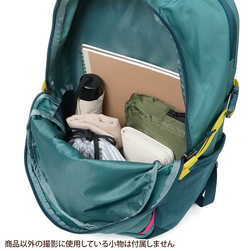 Brandol / Patagonia パタゴニア リュックサック レフュジオ