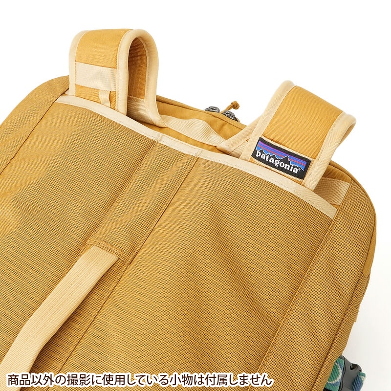 Brandol / Patagonia パタゴニア リュックサック ブラックホール